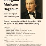 Concert Strijkorkest Collegium Musicum Haganum
