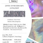 Concert | Valerius Studentenorkest